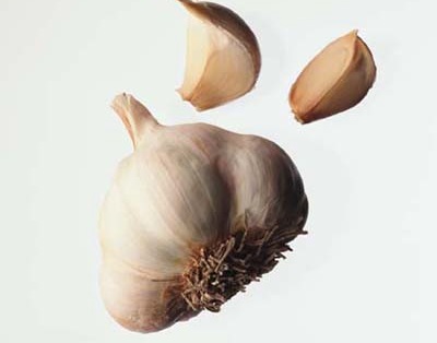 Garlic Extract