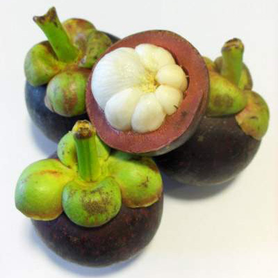 Mangosteen Peel Extract